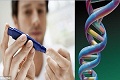 Cegah aksi kriminal baru, Afsel bikin basis DNA