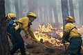 Kebakaran hutan paksa evakuasi ribuan warga Colorado