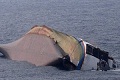 Kapal feri Filipina tenggelam, dua penumpang tewas
