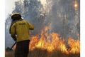 Kebakaran hutan Riau terpantau 106 titik api