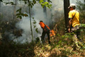 Titik api di Riau bertambah
