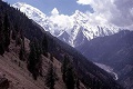 9 pendaki asing tewas ditembak militan Pakistan