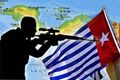Pelaku penembakan di Papua bersenjata laras panjang