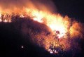 BNPB turunkan 2 heli padamkan kebakaran hutan di Riau