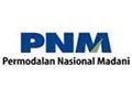 Pefindo tegaskan peringkat A untuk PNM