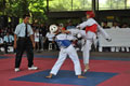 21 negara ramaikan Best of The Best Taekwondo 2013