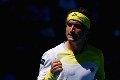 Ferrer: Wimbledon sungguh spesial