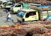 Pemerintah tinjau pabrik kelapa sawit PTPN III