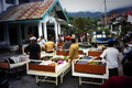 Puteri Indonesia prihatin korban gempa Aceh