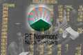 Pemerintah pusat kembali minati 7% saham Newmont