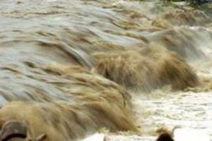 Banjir bandang Kali Kutho terjang kampung nelayan