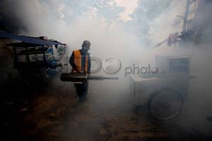 Chikungunya marak di Cianjur, Dinkes lakukan fogging