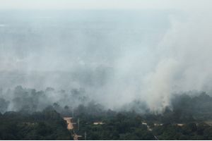 ASEAN sambut komitmen Indonesia perangi kabut asap