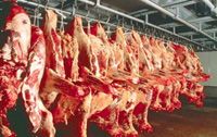 Pedagang: Pembeli lebih suka daging sapi lokal