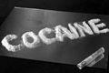 Aparat Bolivia sita 11 ton kokain di semester pertama 2013