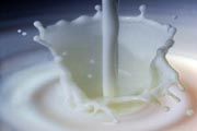 Sarihusada-Forum CSR Kessos bagikan susu gratis
