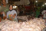 Harga daging ayam dan sapi di Surakarta melejit