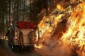 Kebakaran hutan di AS makin meluas
