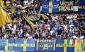 Fans brutal, Verona didenda