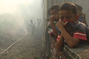 Efek kabut asap, sudah 114 warga Pekanbaru terkena ISPA