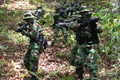 TNI akui anggotanya tewas ditembak OPM