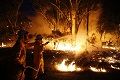 Kebakaran hutan di Australia, 7 petugas pemadam kebakaran terluka