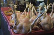 Harga jeroan ayam di Banjarnegara melejit
