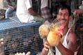 Pedagang ayam di Makassar mogok total