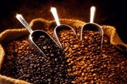 Ekspor kopi 2013 ditargetkan 580 ribu ton