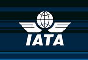 IATA: Penerbangan dunia Agustus naik 6,8%