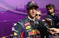 Red Bull berikan waktu adaptasi bagi Ricciardo