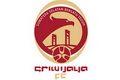 Sriwijaya FC dukung kuota 3 plus 1