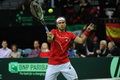 David Ferrer lolos ke final ATP
