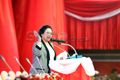 Megawati masih diminati pemilih irasional