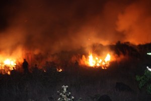 Hutan pegunungan Arjuno-Ringgit terbakar