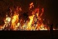 Akibat kebakaran hutan, New South Wales tetapkan status darurat