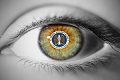Situs ngadat, NSA bantah diserang hacker