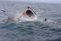 7 hilang dalam tabrakan kapal nelayan China & Korsel