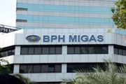 BPH Migas kembali desak pemerintah tidak ekspor gas