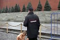 Seniman ini paku kelaminnya saat demo telanjang di Rusia