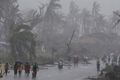 Tidak ada WNI yang jadi korban topan Haiyan