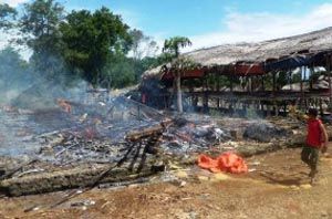 Peternakan terbakar, 5.000 ekor ayam mati terpanggang