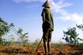 Gita: Pertanian tanpa subsidi, negara tak mungkin maju