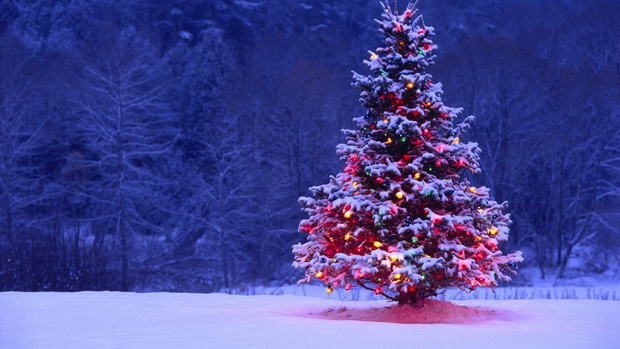 Asal-usul pohon Natal