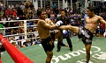 Luhukay ingin kembangkan Muay Thai di Indonesia