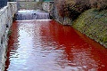 Air sungai di Slovakia ini mirip darah