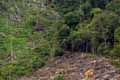 Kawasan hutan Surakarta rawan longsor
