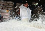 Sulsel targetkan surplus beras tiga juta ton 2014