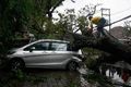 3 mobil di Balai Kota Bandung tertimpa pohon tumbang
