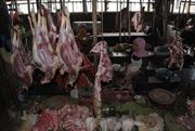 Harga daging sapi di Semarang kembali naik